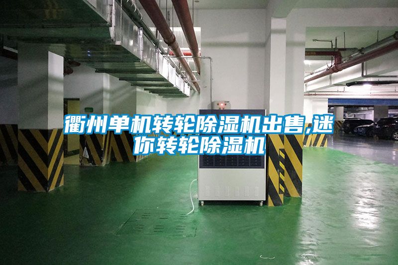 衢州單機轉輪91看片网站视频機出售,迷你轉輪91看片网站视频機