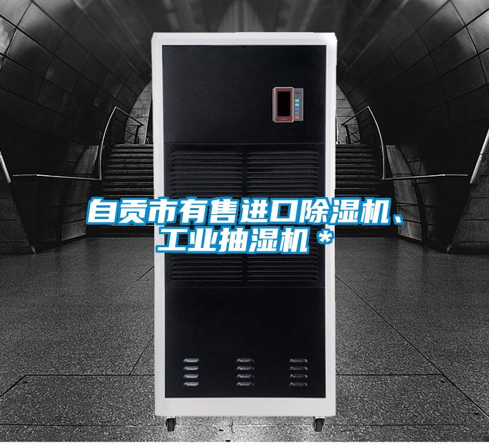 自貢市有售進口91看片网站视频機、工業抽濕機＊