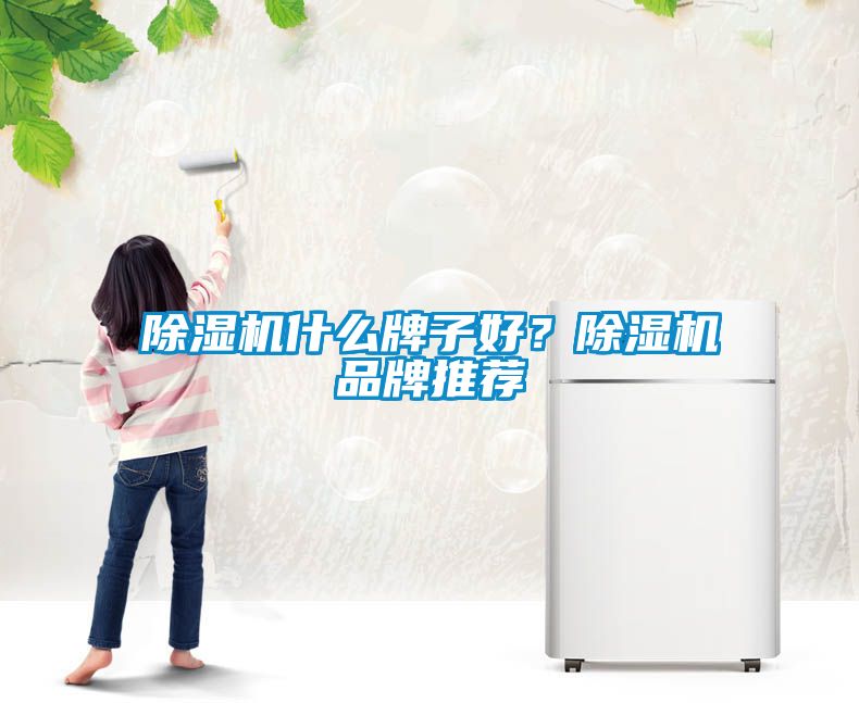 91看片网站视频機什麽牌子好？91看片网站视频機品牌推薦