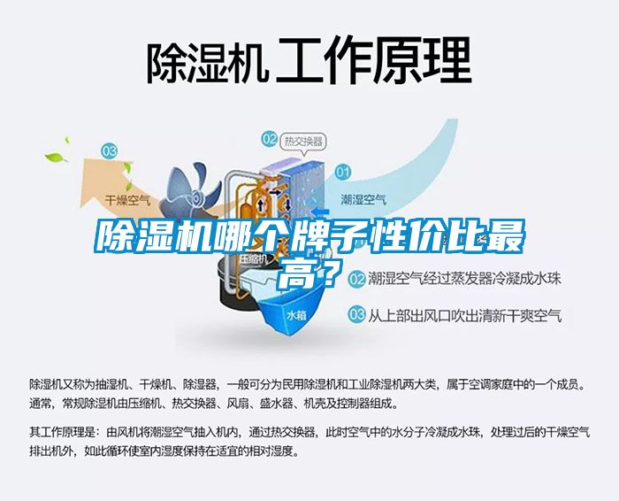91看片网站视频機哪個牌子性價比最高？