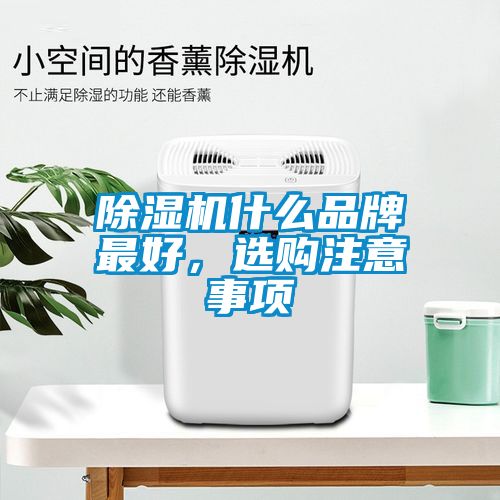 91看片网站视频機什麽品牌最好，選購注意事項