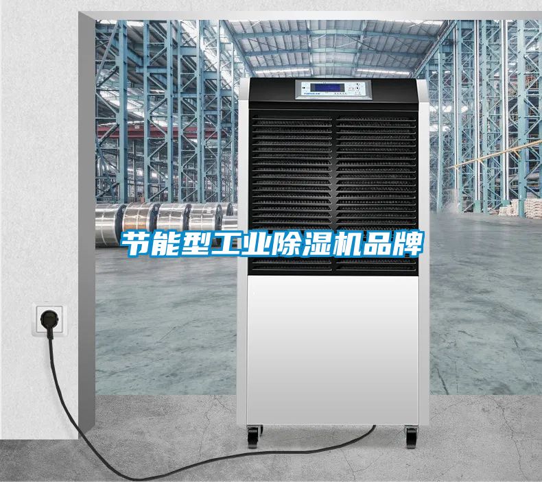 節能型工業91看片网站视频機品牌