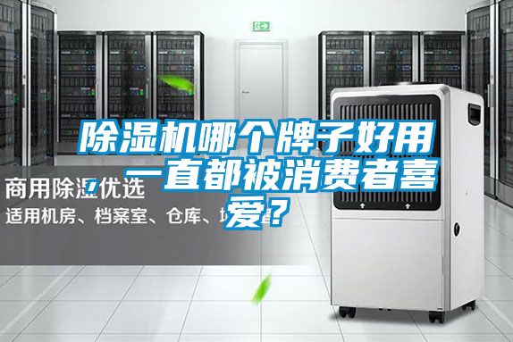 91看片网站视频機哪個牌子好用，一直都被消費者喜愛？