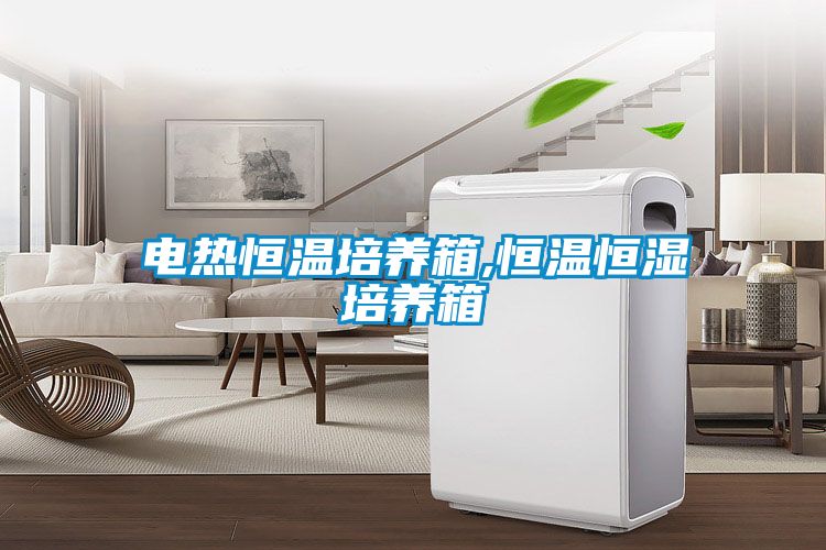 電熱恒溫培養箱,恒溫恒濕培養箱