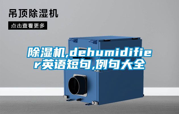 91看片网站视频機,dehumidifier英語短句,例句大全