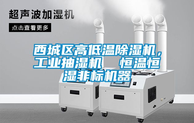 西城區高低溫91看片网站视频機，工業抽濕機  恒溫恒濕非標機器