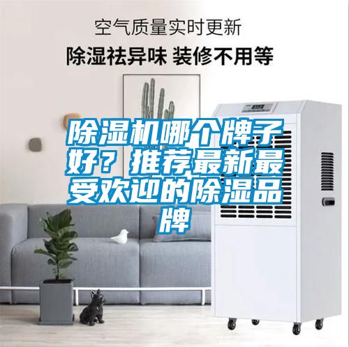 91看片网站视频機哪個牌子好？推薦最新最受歡迎的91看片网站视频品牌