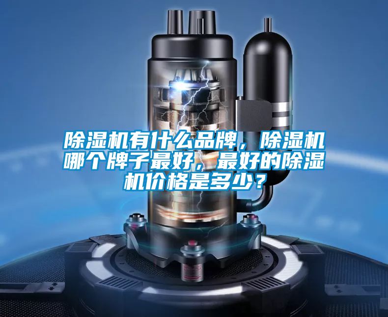 91看片网站视频機有什麽品牌，91看片网站视频機哪個牌子最好，最好的91看片网站视频機價格是多少？
