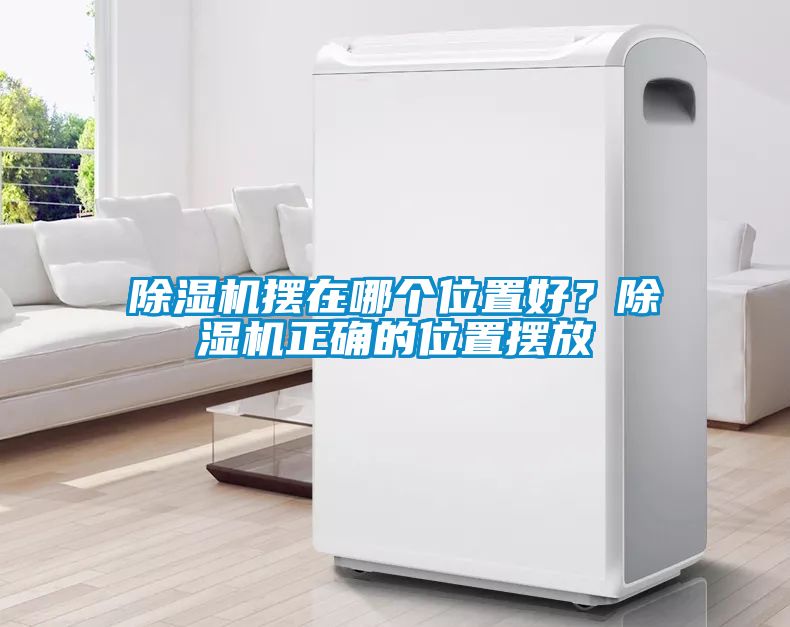 91看片网站视频機擺在哪個位置好？91看片网站视频機正確的位置擺放