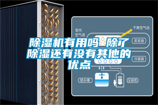 91看片网站视频機有用嗎 除了91看片网站视频還有沒有其他的優點