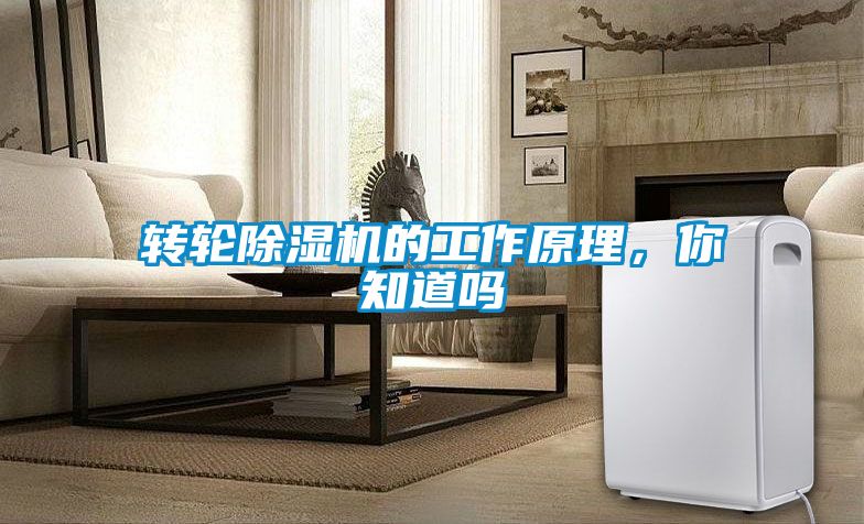 轉輪91看片网站视频機的工作原理，你知道嗎