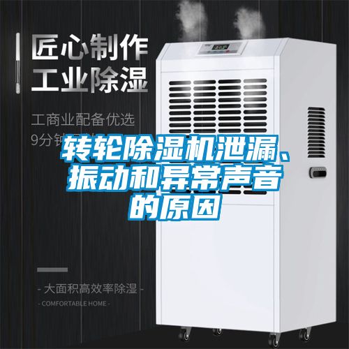 轉輪91看片网站视频機泄漏、振動和異常聲音的原因