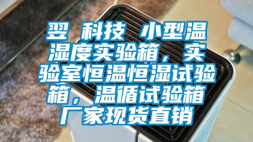 翌昇科技 小型溫濕度實驗箱，實驗室恒溫恒濕試驗箱，溫循試驗箱廠家現貨直銷