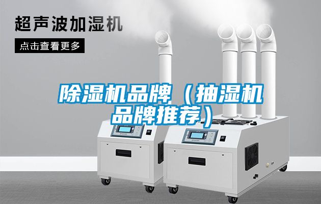 91看片网站视频機品牌（抽濕機品牌推薦）