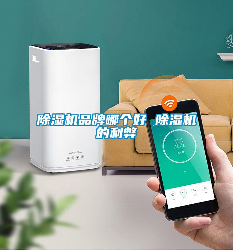 91看片网站视频機品牌哪個好 91看片网站视频機的利弊