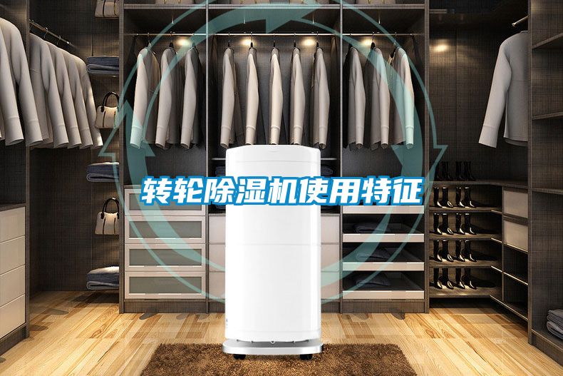 轉輪91看片网站视频機使用特征