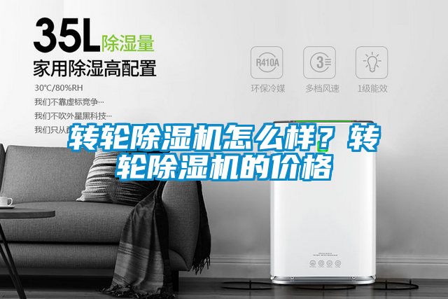 轉輪91看片网站视频機怎麽樣？轉輪91看片网站视频機的價格