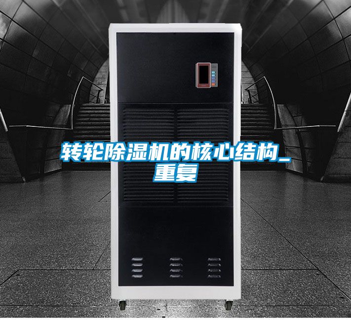 轉輪91看片网站视频機的核心結構_重複