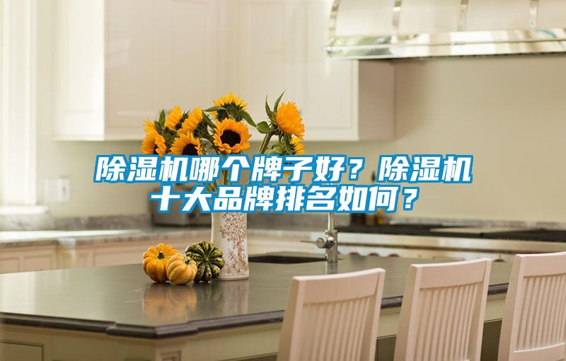 91看片网站视频機哪個牌子好？91看片网站视频機十大品牌排名如何？