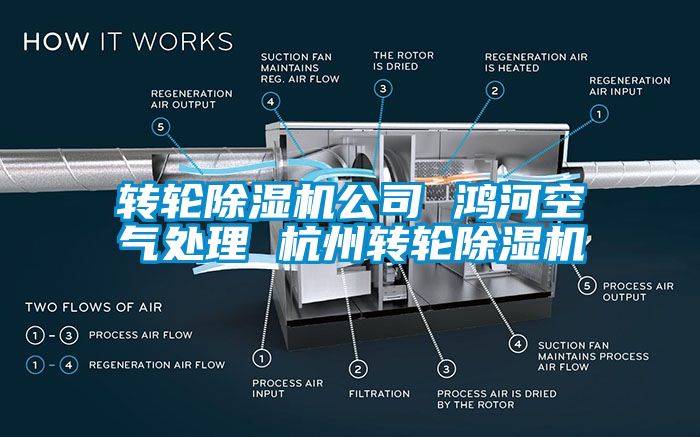 轉輪91看片网站视频機公司 鴻河空氣處理 杭州轉輪91看片网站视频機