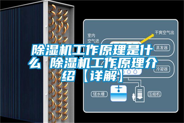 91看片网站视频機工作原理是什麽 91看片网站视频機工作原理介紹【詳解】