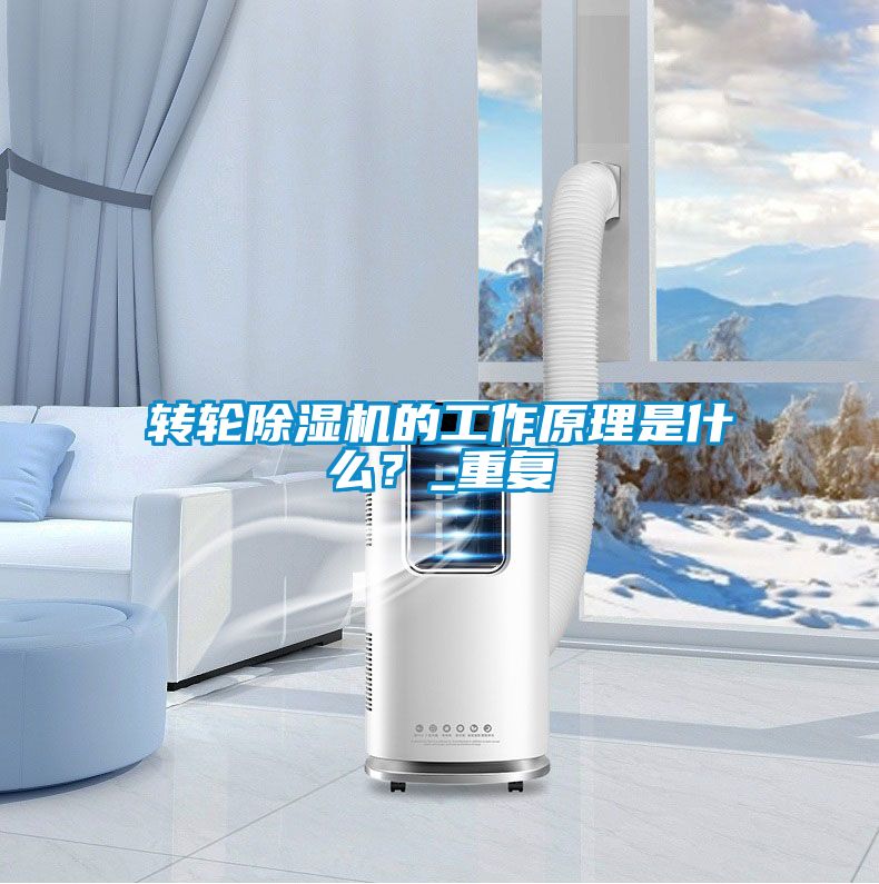 轉輪91看片网站视频機的工作原理是什麽？_重複