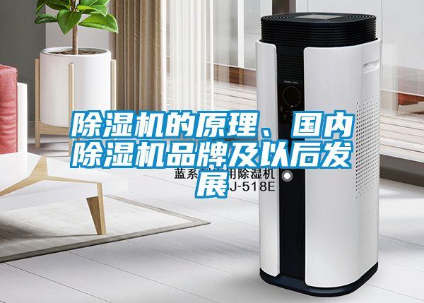 91看片网站视频機的原理、國內91看片网站视频機品牌及以後發展