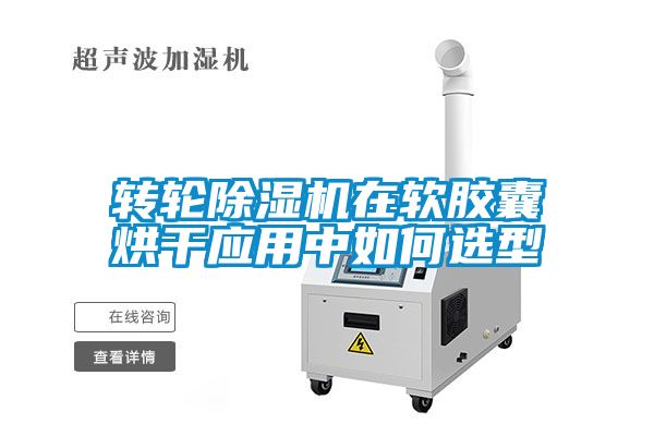 轉輪91看片网站视频機在軟膠囊烘幹應用中如何選型