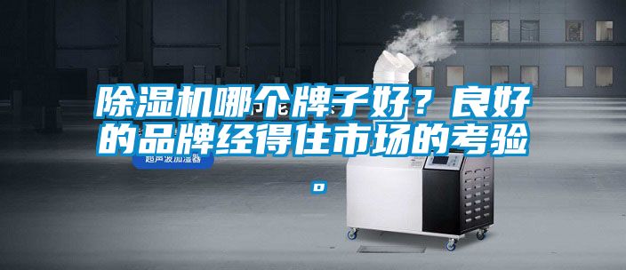 91看片网站视频機哪個牌子好？良好的品牌經得住市場的考驗。