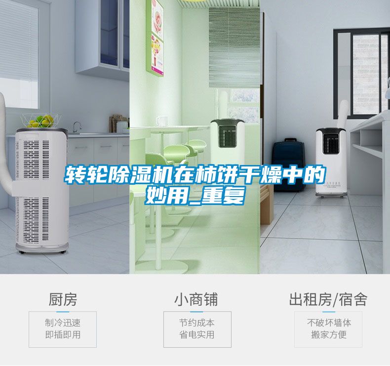 轉輪91看片网站视频機在柿餅幹燥中的妙用_重複