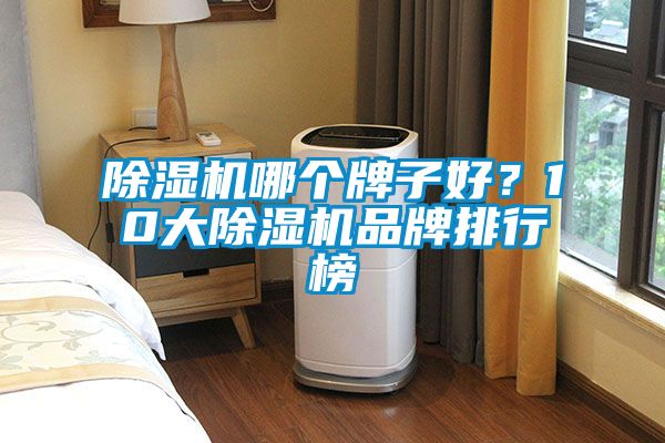 91看片网站视频機哪個牌子好？10大91看片网站视频機品牌排行榜