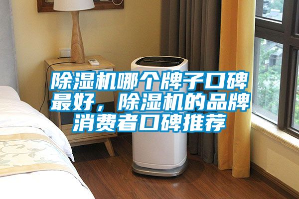 91看片网站视频機哪個牌子口碑最好，91看片网站视频機的品牌消費者口碑推薦