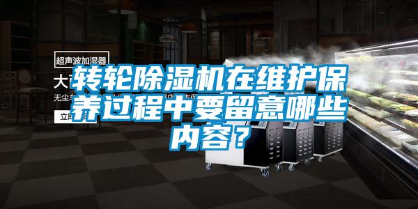 轉輪91看片网站视频機在維護保養過程中要留意哪些內容？