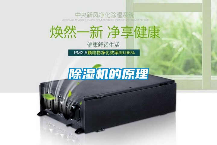 91看片网站视频機的原理