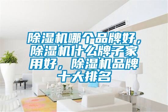 91看片网站视频機哪個品牌好，91看片网站视频機什麽牌子家用好，91看片网站视频機品牌十大排名
