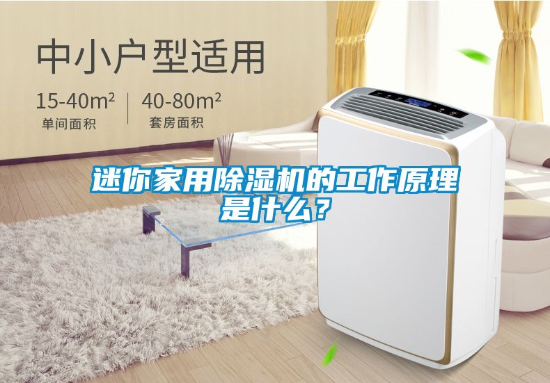 迷你家用91看片网站视频機的工作原理是什麽？
