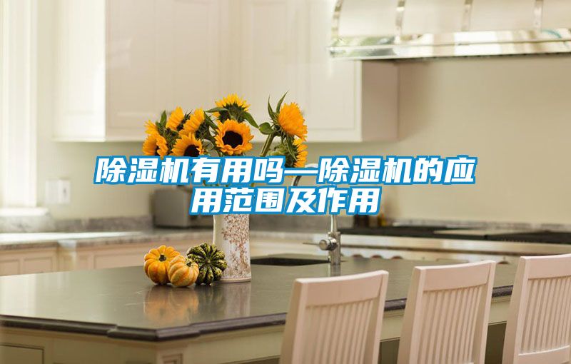 91看片网站视频機有用嗎—91看片网站视频機的應用範圍及作用