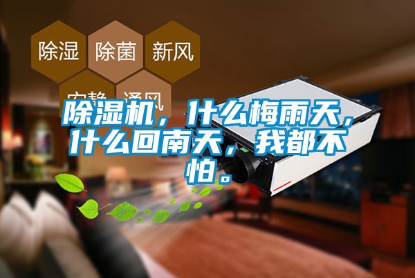 91看片网站视频機，什麽梅雨天，什麽回南天，我都不怕。