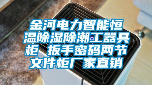 金河電力智能恒溫91看片网站视频除潮工器具櫃 扳手密碼兩節文件櫃廠家直銷