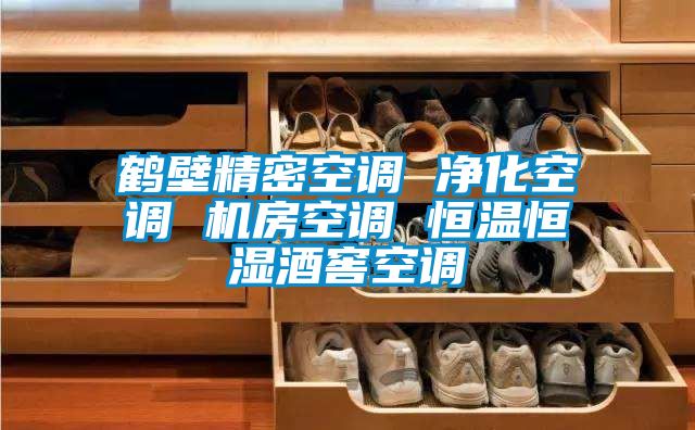 鶴壁精密空調 淨化空調 機房空調 恒溫恒濕酒窖空調