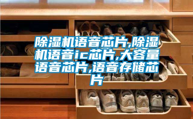 91看片网站视频機語音芯片,91看片网站视频機語音ic芯片,大容量語音芯片,語音存儲芯片