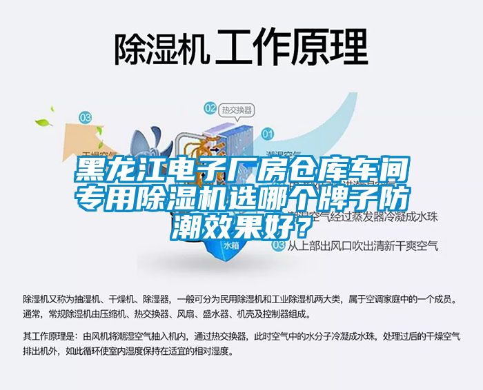 黑龍江電子廠房倉庫車間專用91看片网站视频機選哪個牌子防潮效果好？