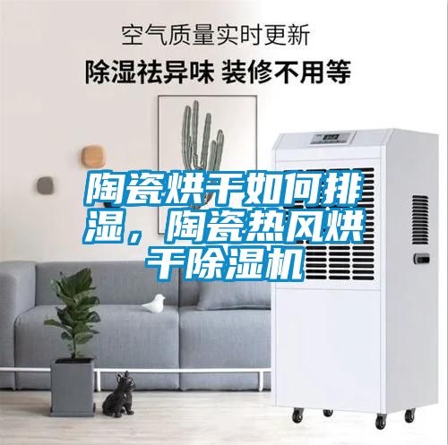 陶瓷烘幹如何排濕，陶瓷熱風烘幹91看片网站视频機