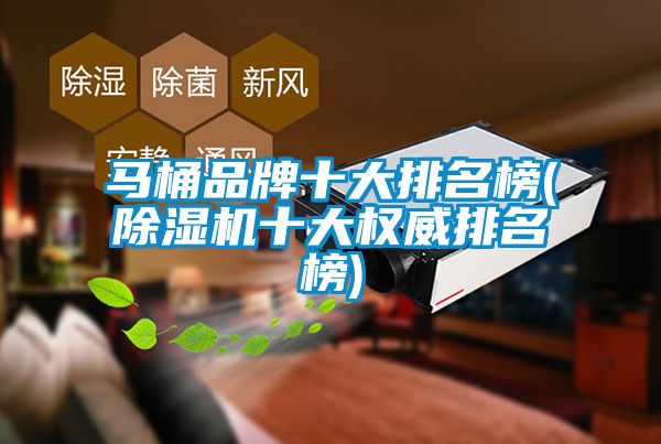 馬桶品牌十大排名榜(91看片网站视频機十大權威排名榜)