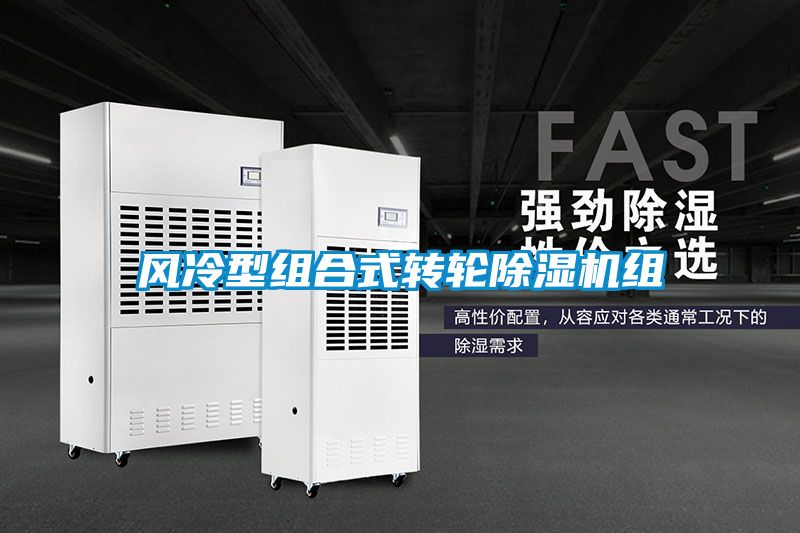 風冷型組合式轉輪91看片网站视频機組