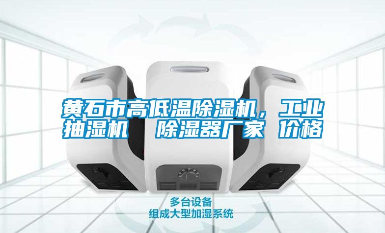 黃石市高低溫91看片网站视频機，工業抽濕機  91看片网站视频器廠家 價格