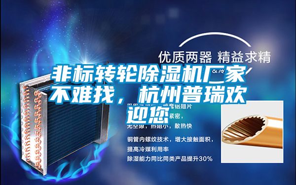 非標轉輪91看片网站视频機廠家不難找，杭州普瑞歡迎您