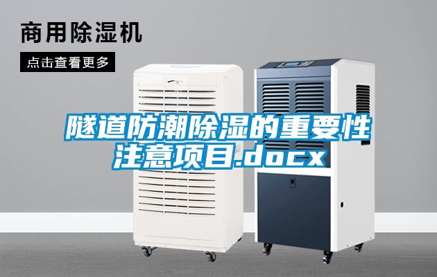 隧道防潮91看片网站视频的重要性注意項目.docx