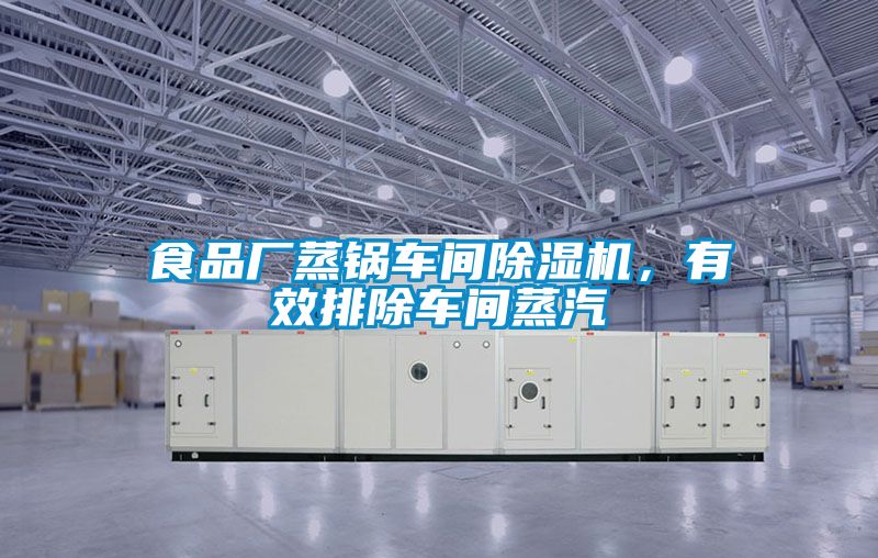 食品廠蒸鍋車間91看片网站视频機，有效排除車間蒸汽