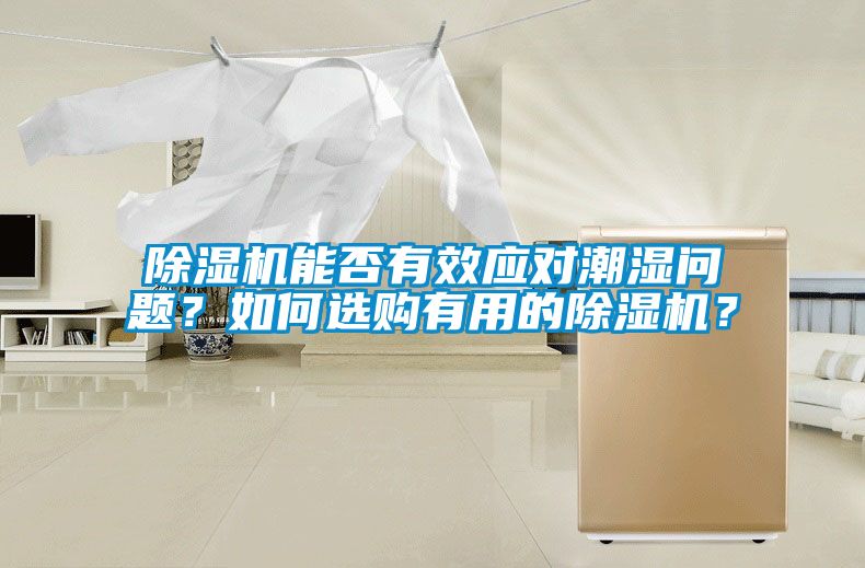 91看片网站视频機能否有效應對潮濕問題？如何選購有用的91看片网站视频機？
